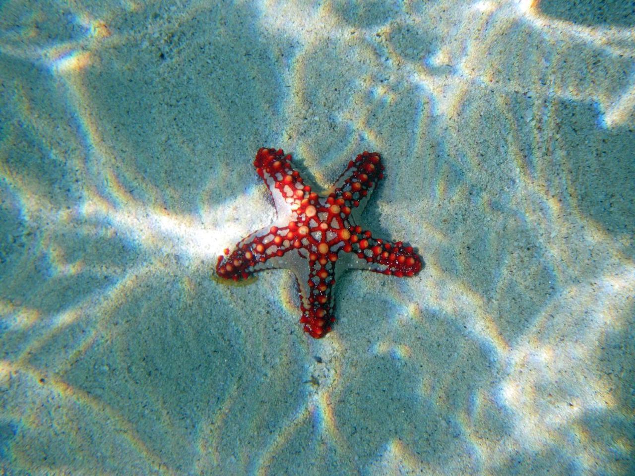 Twiga Beach Resort & Spa Watamu Esterno foto